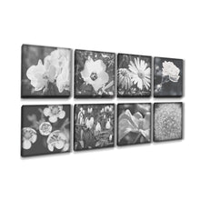 Cargar imagen en el visor de la galería, Set de 8 cuadros de 20x20cm tematica flores/blanco y negro
