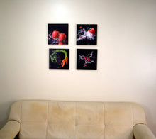 Cargar imagen en el visor de la galería, Set de 4 cuadros 30x30cm temática cocina
